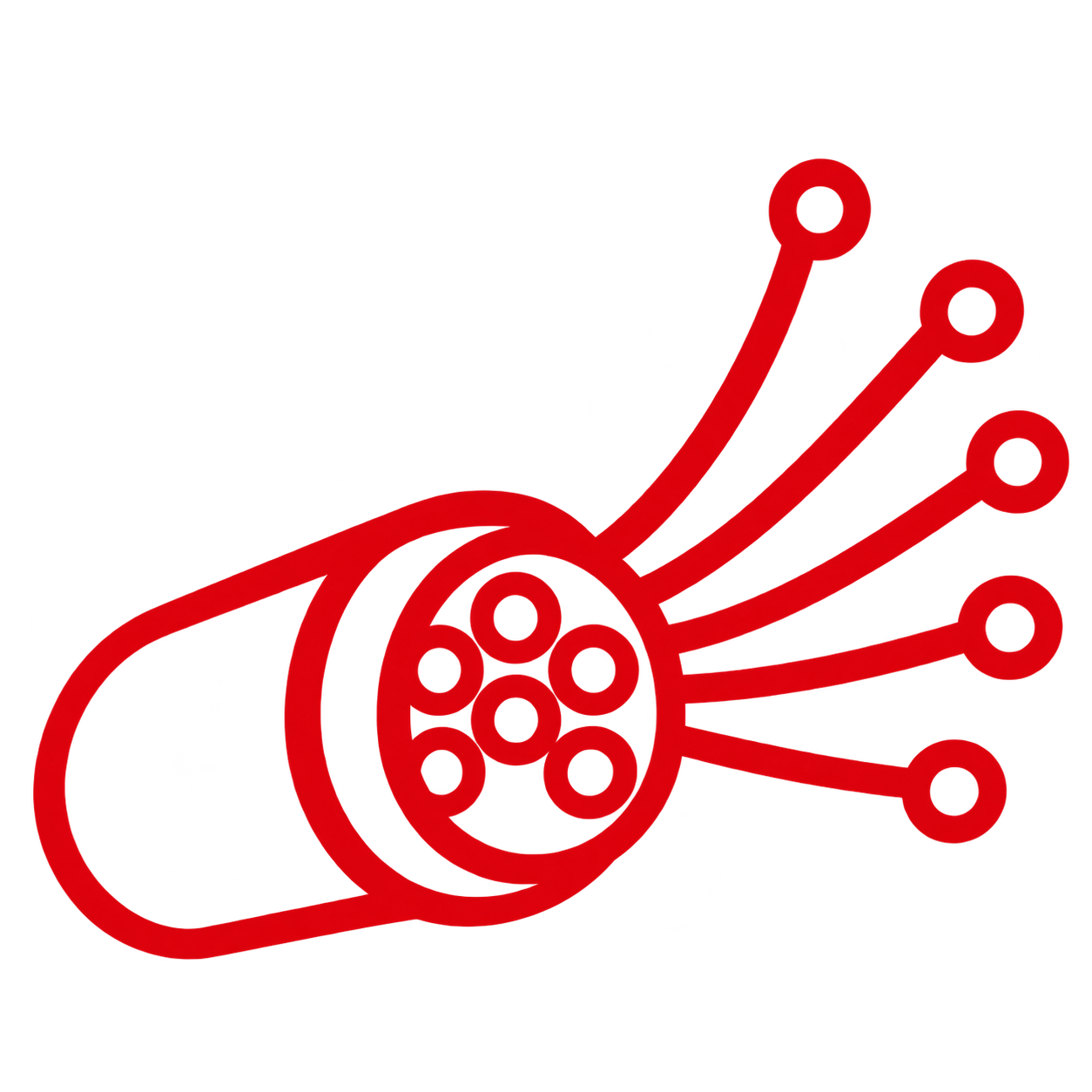Fibra óptica